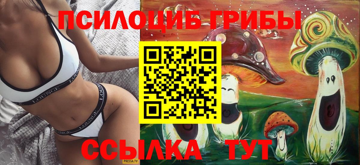 Псилоцибиновые грибы мухоморы Ставрополь