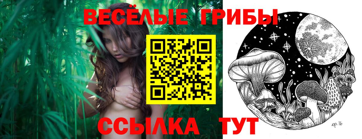 Ставрополь  Псилоцибиновые грибы GOLDEN TEACHER  Вход с VPN  Псилоцибиновые грибы Psilocybe 